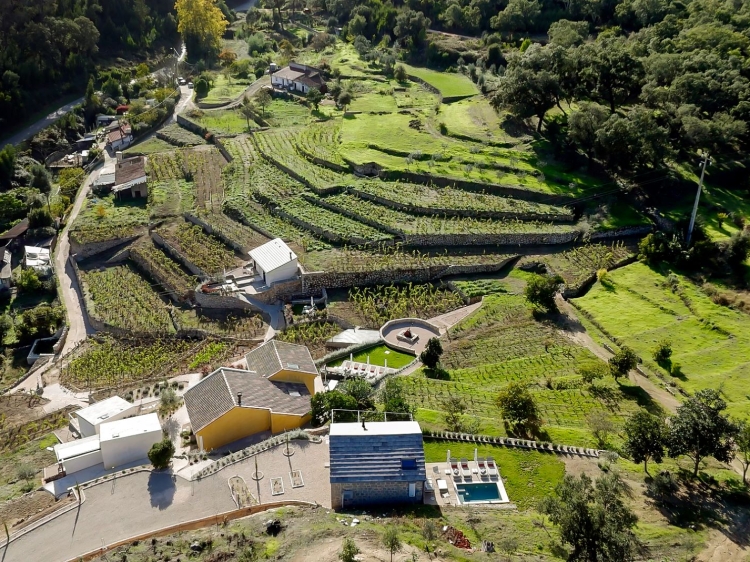 Aeral shot for The Granite House (bottom), The Yellow House and Suite 2 and 3 (above The Granite House) and The Baker's Cottage (in the middle of the vineyard)