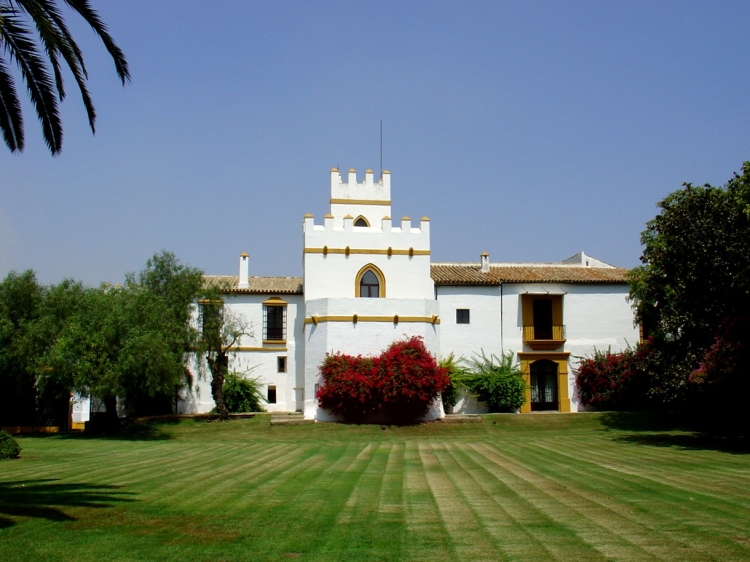 Cortijo Torre de la Reina seville countryside hotel